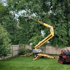 Soil Testing and Treatment in Saddle River, NJ